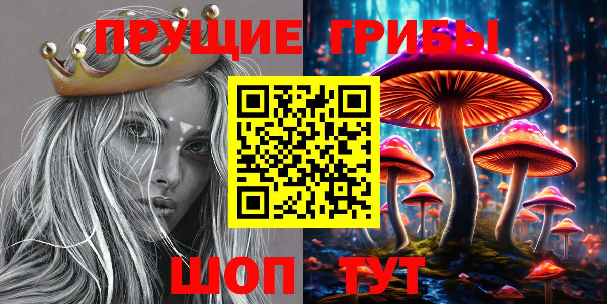 Галлюциногенные грибы Magic Shrooms  Вход с VPN  Нурлат  Псилоцибиновые грибы Psilocybine cubensis 